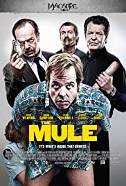 Kurye / The Mule türkçe dublaj izle