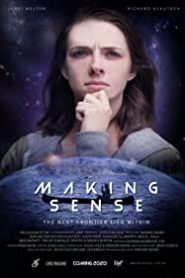 Making Sense – Alt Yazılı izle