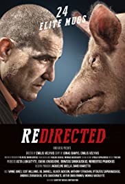 Redirected türkçe dublaj HD izle