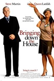 Başımın belası – Bringing Down the House izle