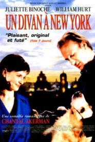 New York’ta bir çılgın Türkçe Dublaj TEK Part izle